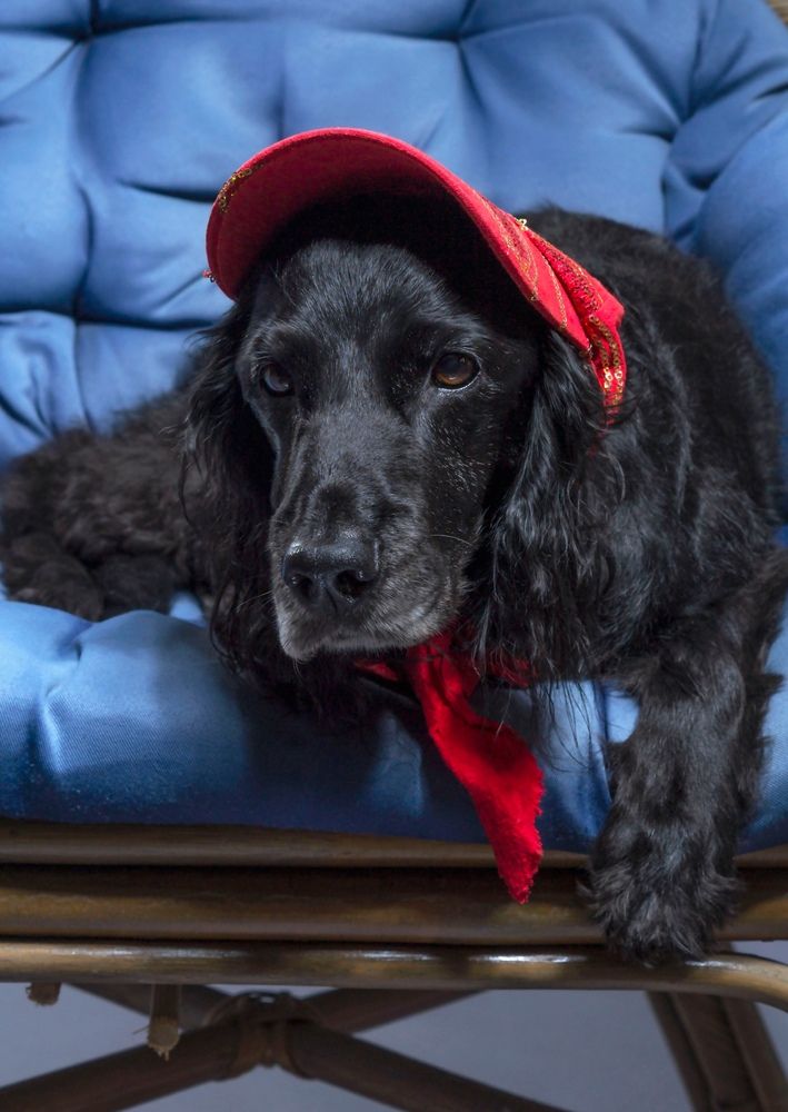 Кузенька! ❤