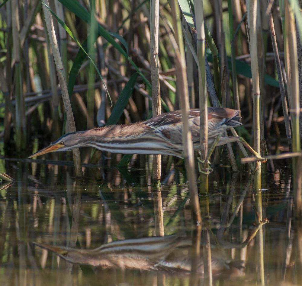 Photograph by Milan Đorđević