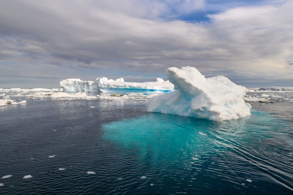 Photograph by Мария Новоселецкая