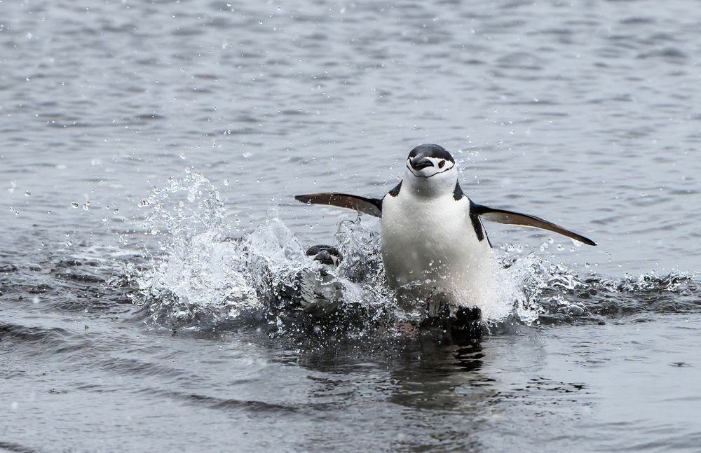 Photograph by Мария Новоселецкая