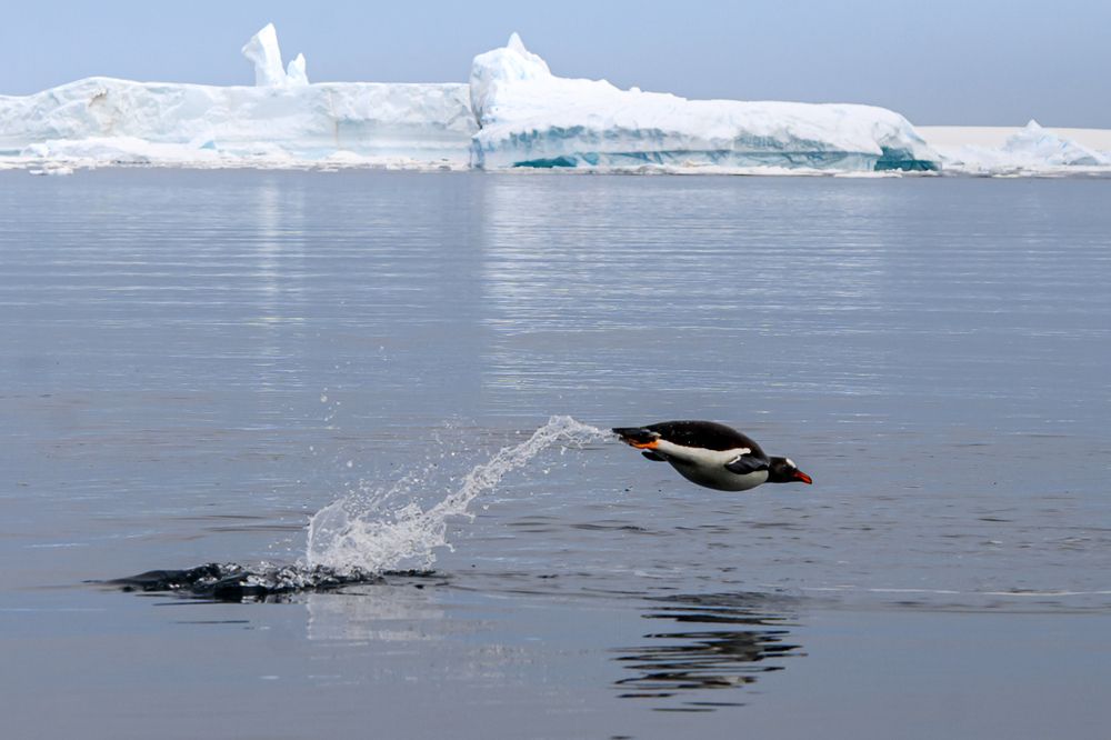 Photograph by Мария Новоселецкая