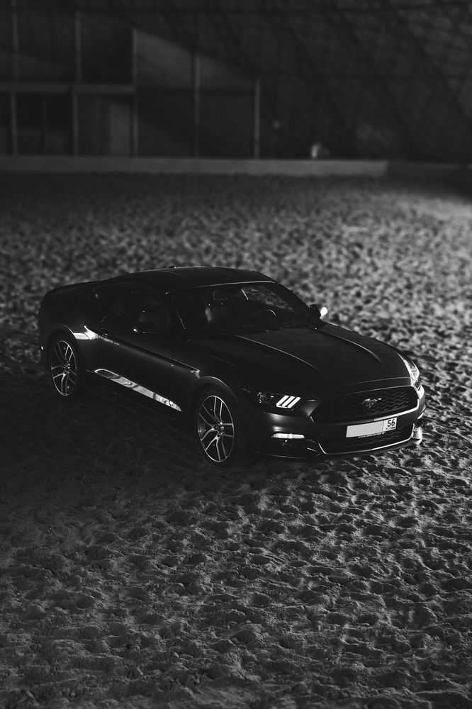 Фотография автора Артём Пышкин