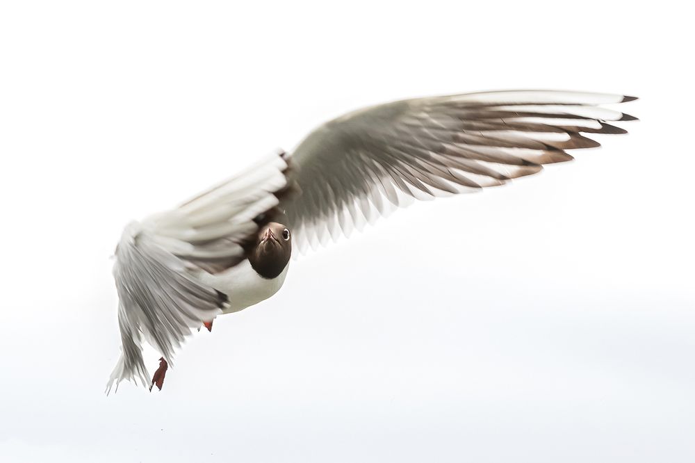 Photograph by Мария Новоселецкая