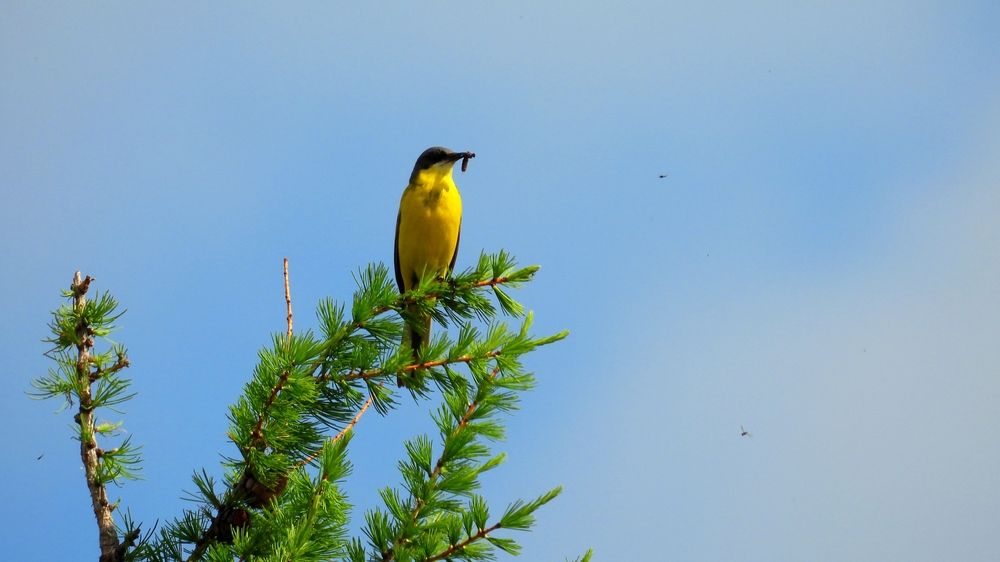 Photograph by Мария Черница