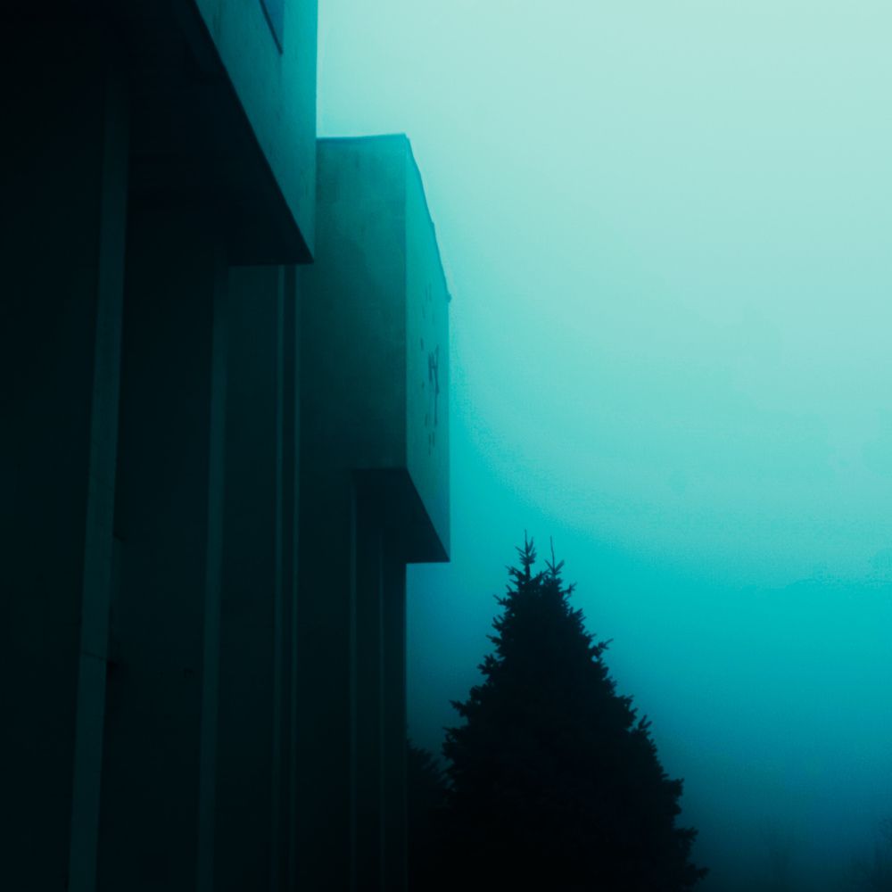 Photograph by Дарья