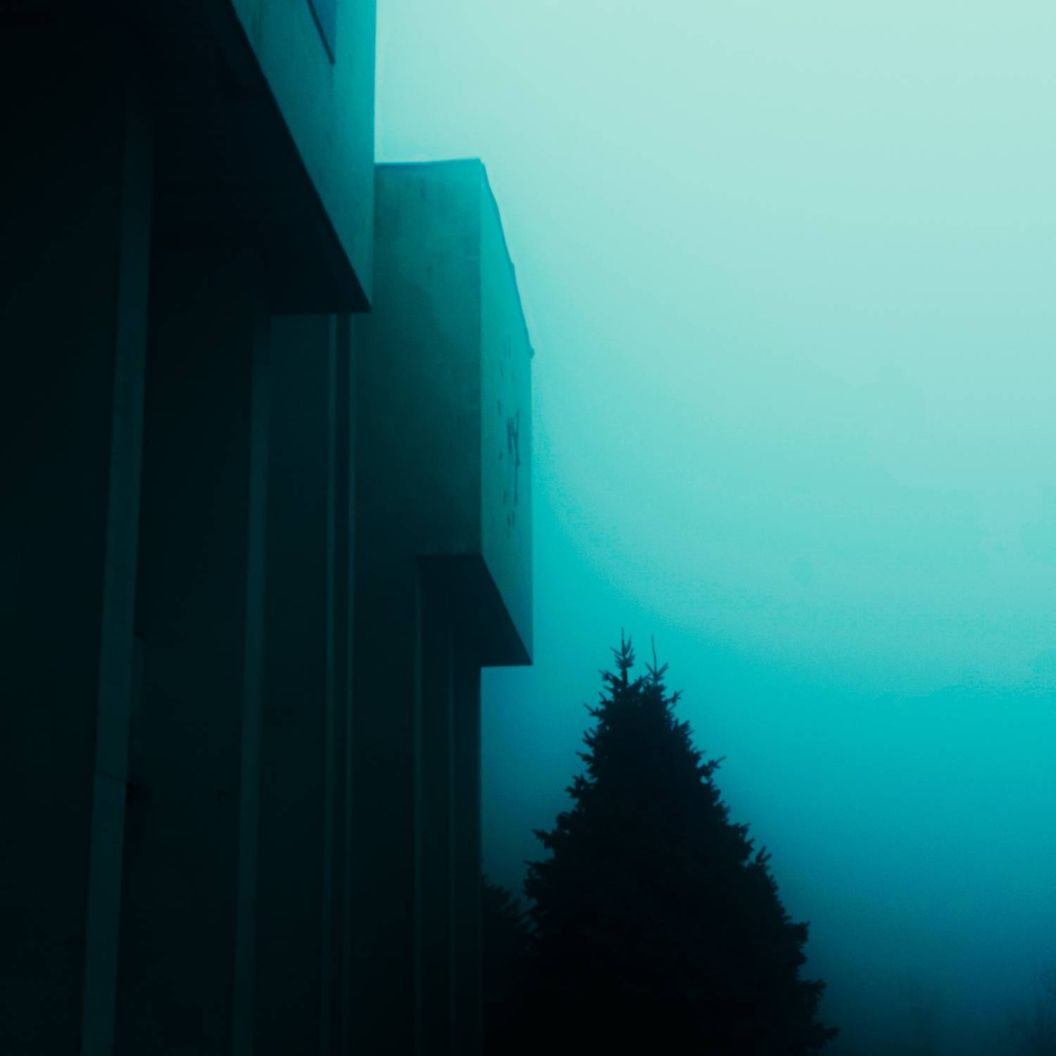 Photo #12349202