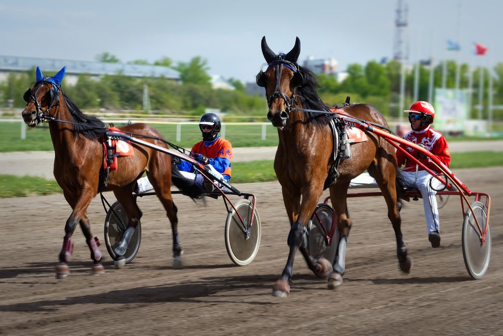 Photograph by Александр Перегудов