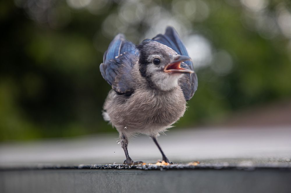 Фотография автора Татьяна Анпилова