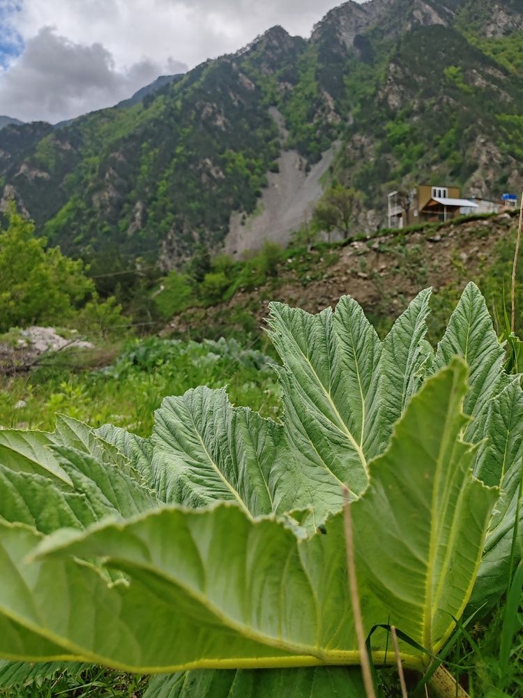 Photograph by Ольга Сошина