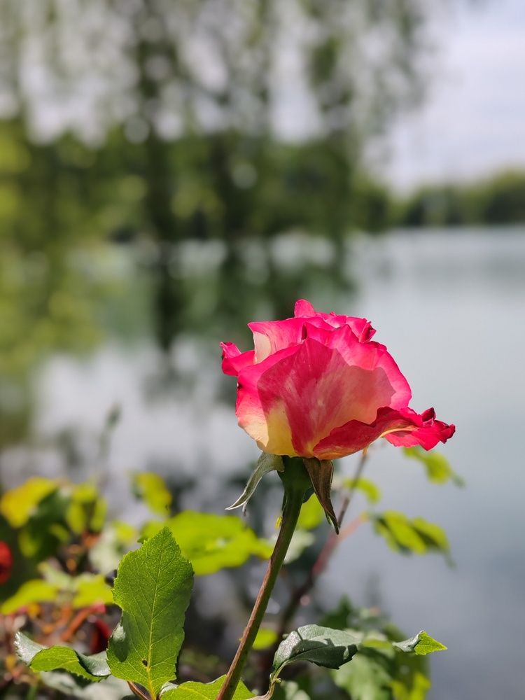 Photograph by Ольга Сошина