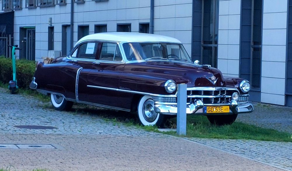 Photograph by Mostafa Shahriar