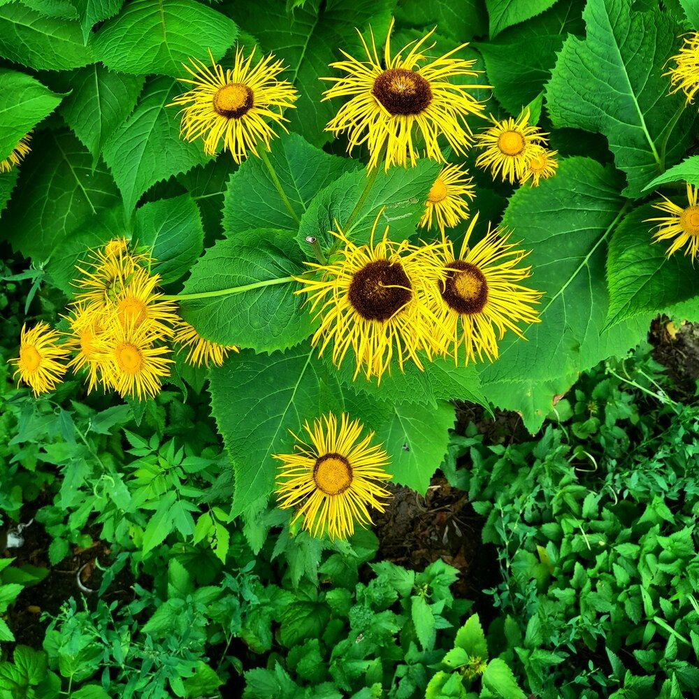 Photograph by Назифе Идилли Озкол