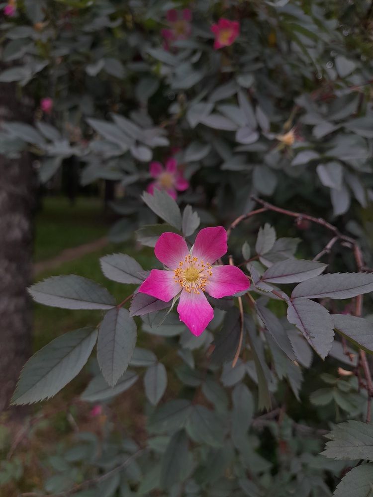 Photograph by Назифе Идилли Озкол