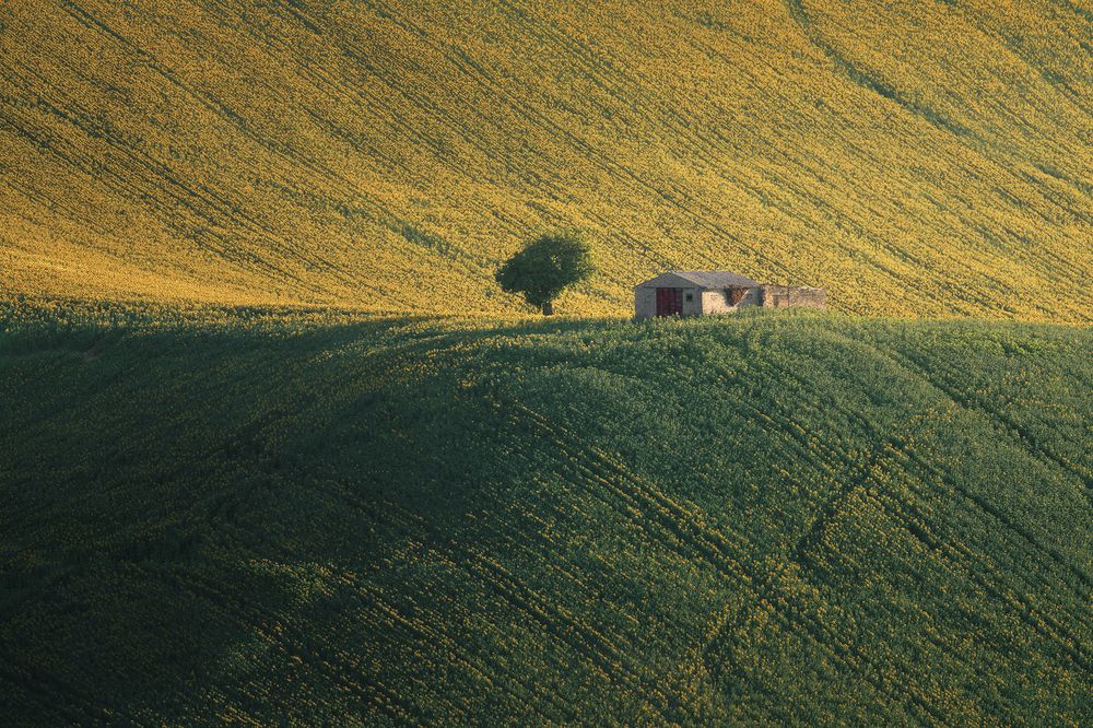 Photograph by de Franzoni Thomas