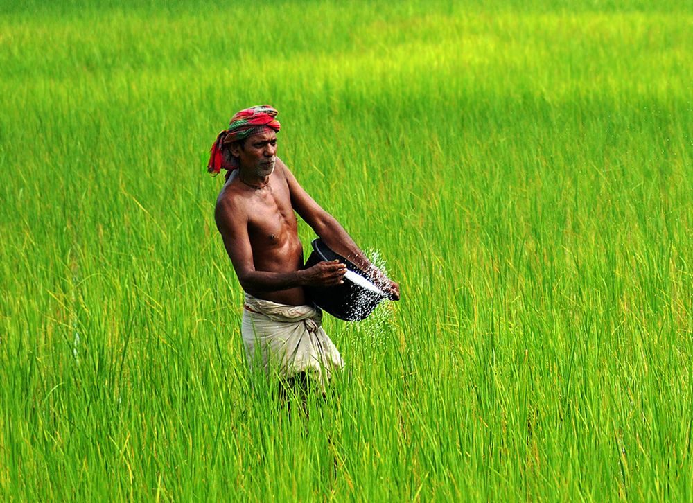 Photograph by Nilanjan Saha