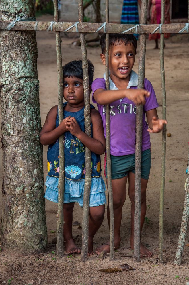 Photograph by Chamara Sulakkhana Polwatta Siriyalage