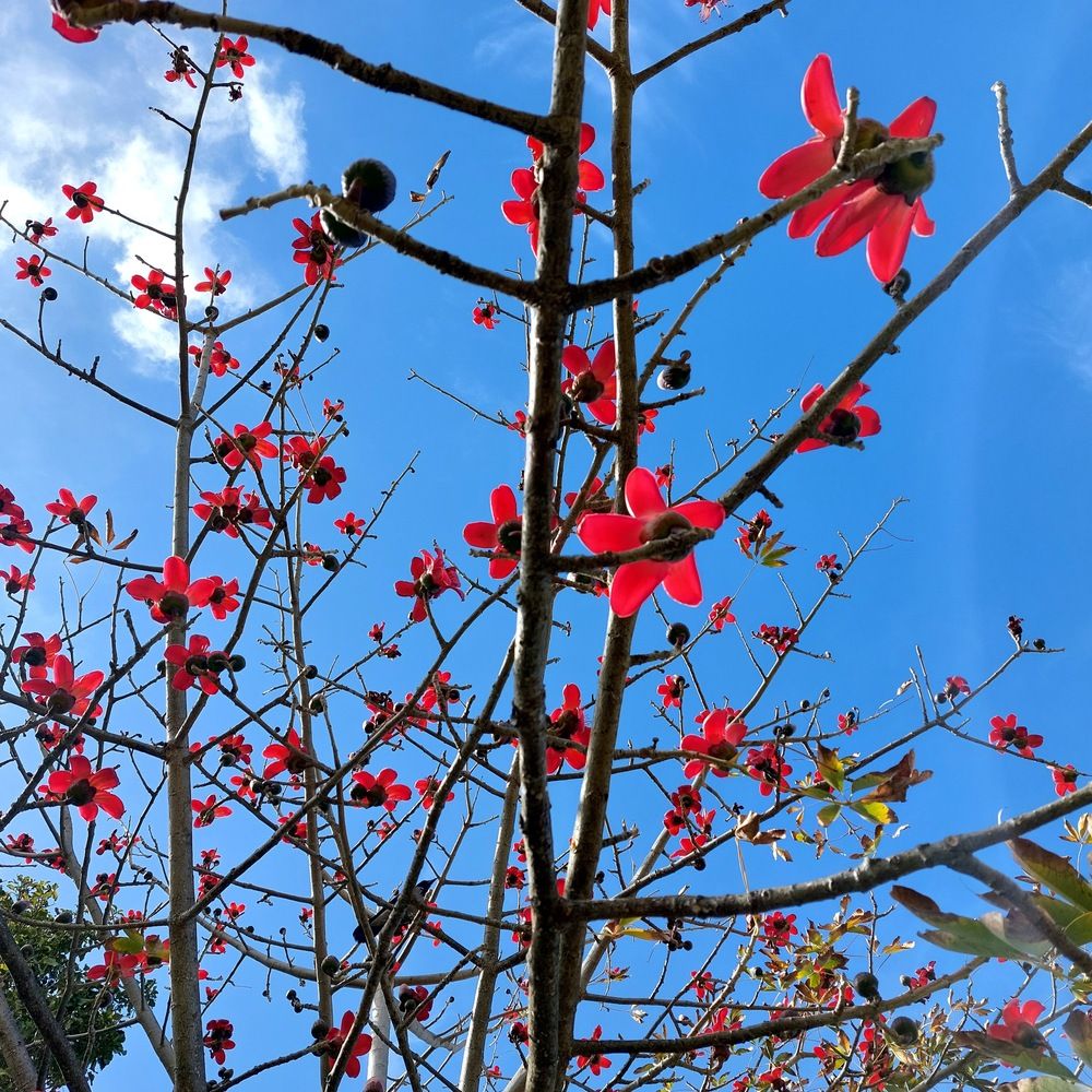 Photograph by Yulia Rotbach