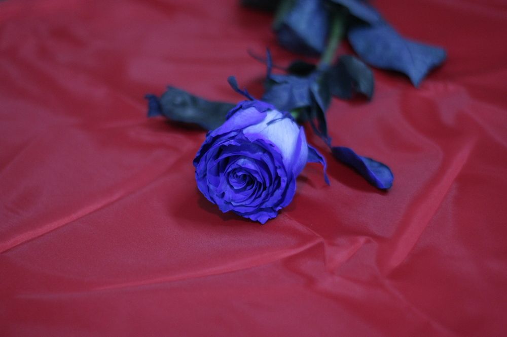 Photograph by Андрей Юдин