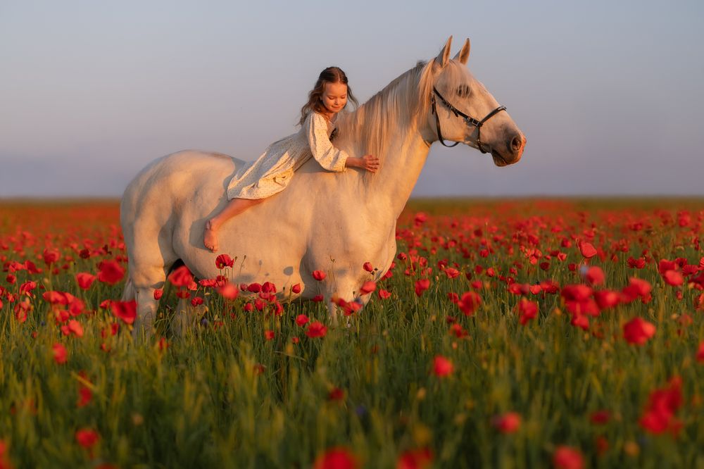 Фотография автора Ирина Пиманова
