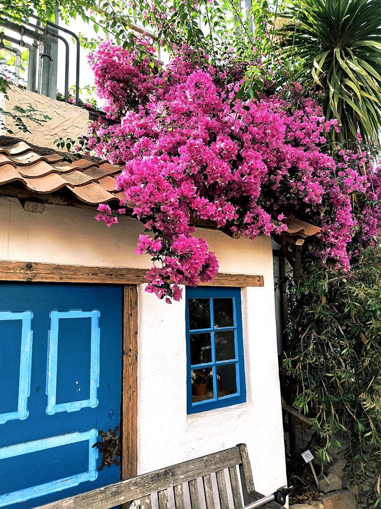 Photograph by Елена Симонова