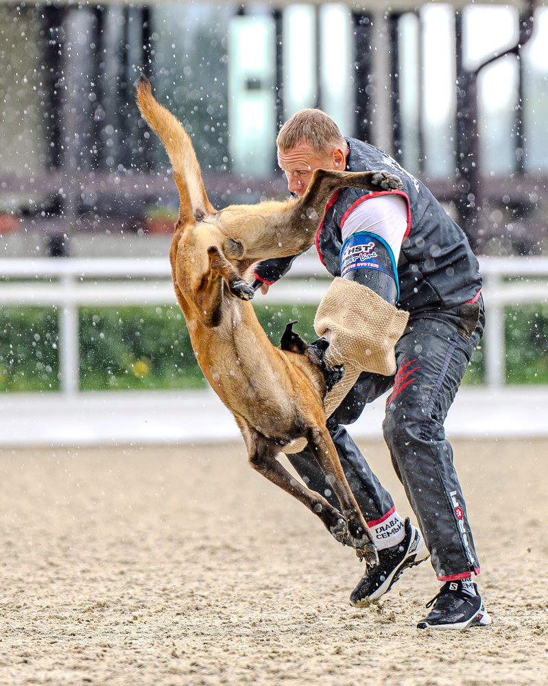 Фотография автора Сергей Жиркевич