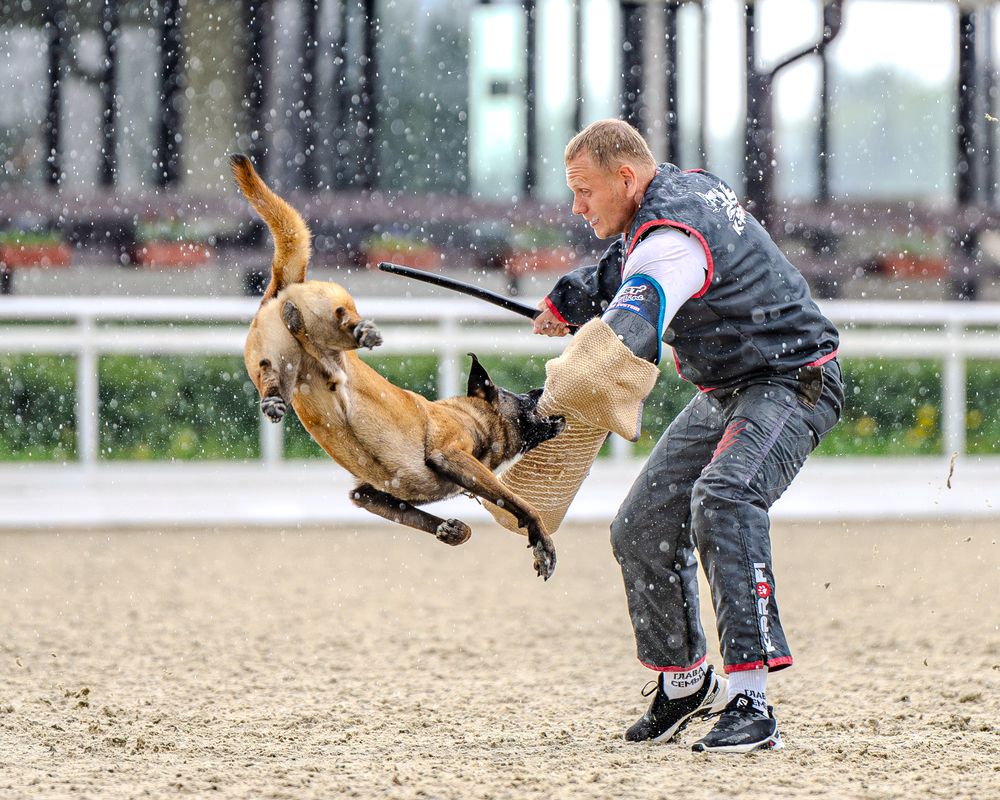 Фотография автора Сергей Жиркевич