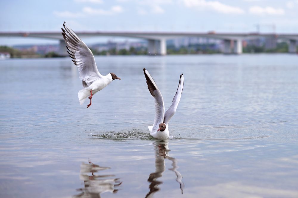 Photograph by Марина Максимовых