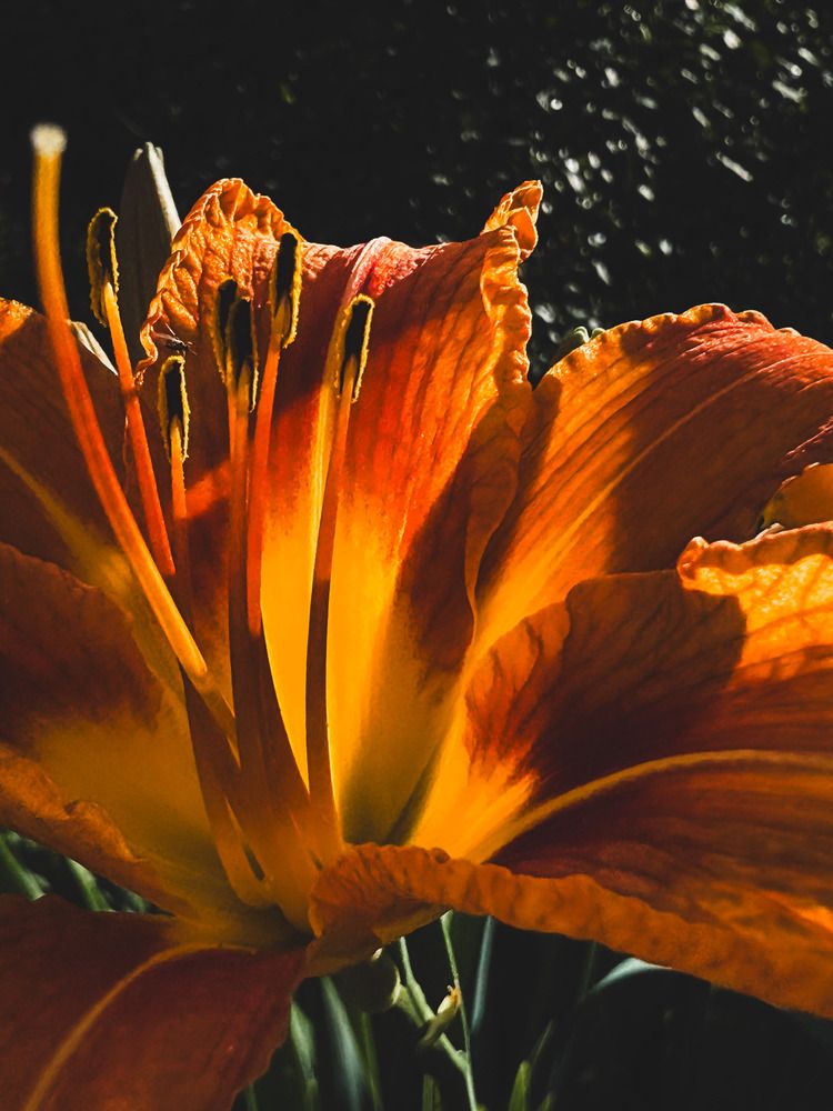 Фотография автора Татьяна Буянова