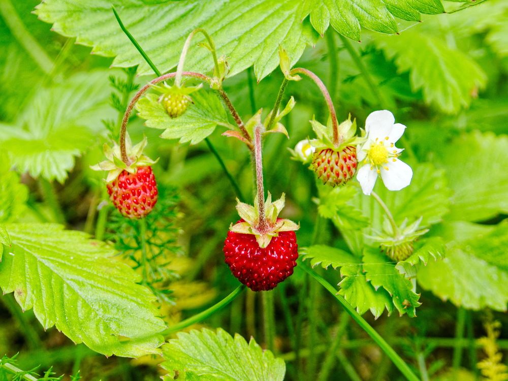 Photograph by Андрей Панин