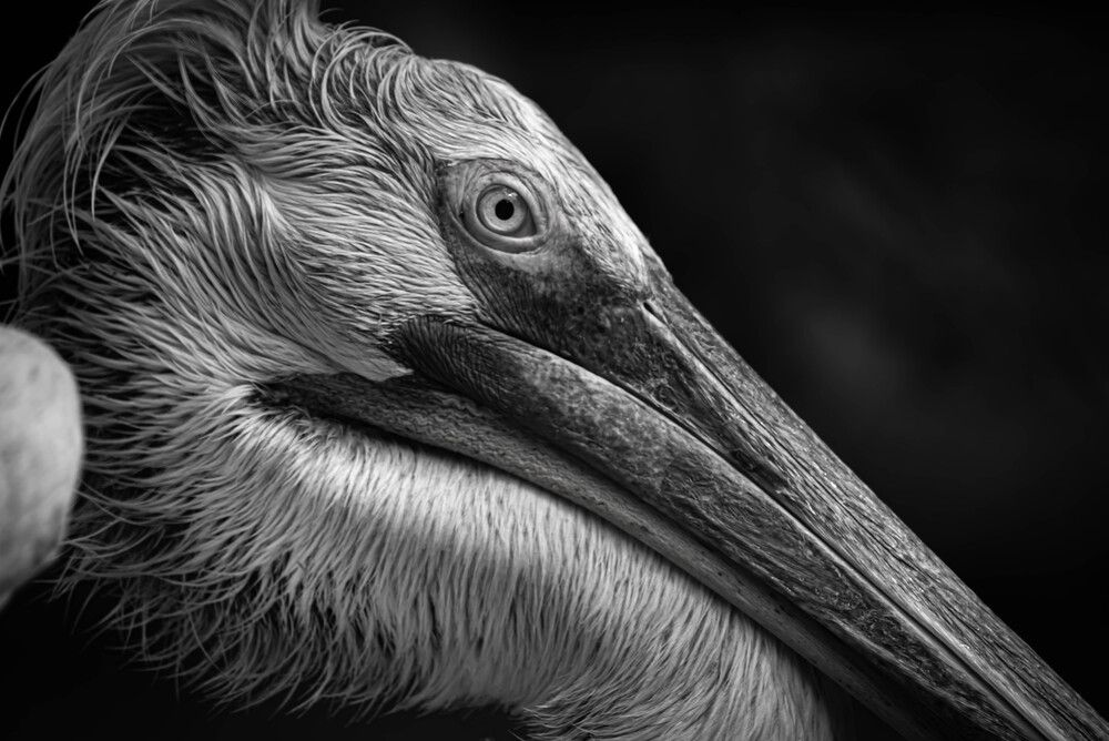 Photograph by Данил Баглаев
