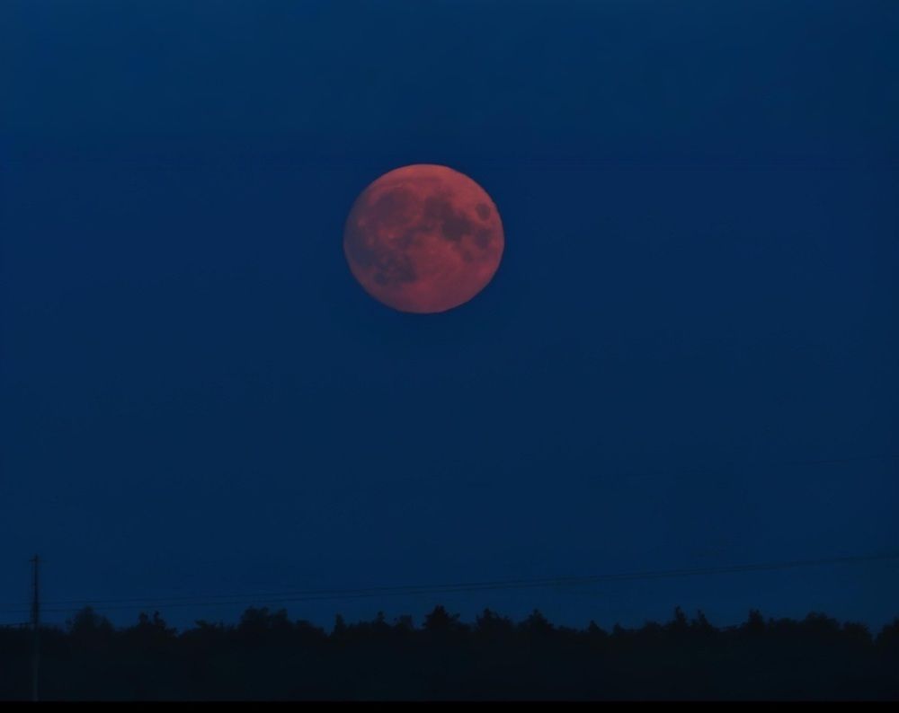 Photograph by Юлия Гусарова