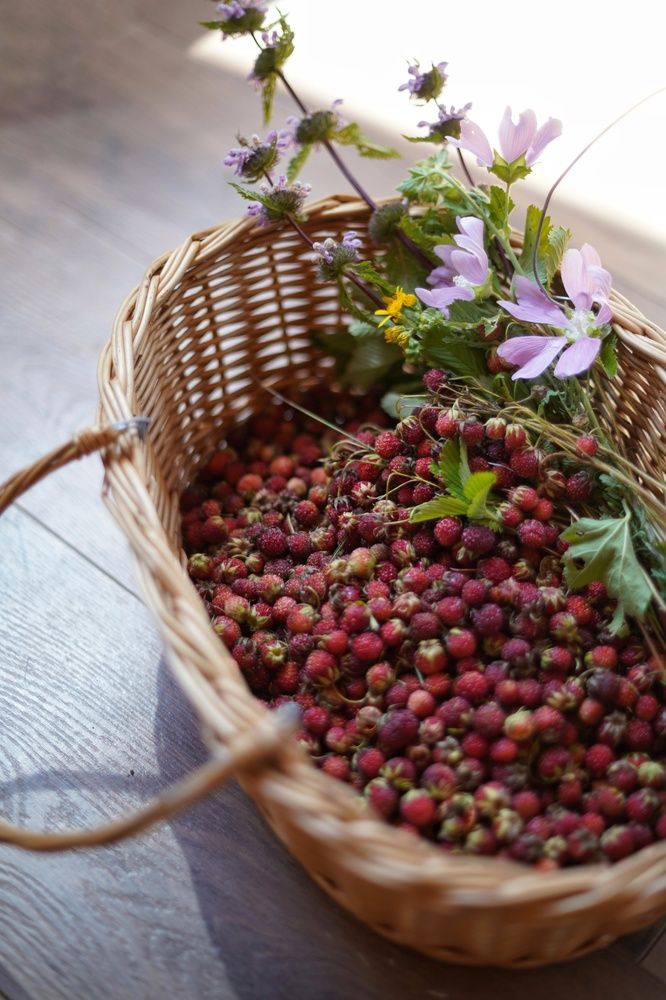 Photograph by Анастасия Позинич