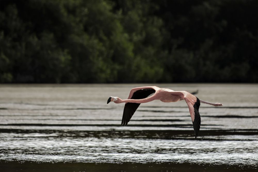 Photograph by Joaquin Silva