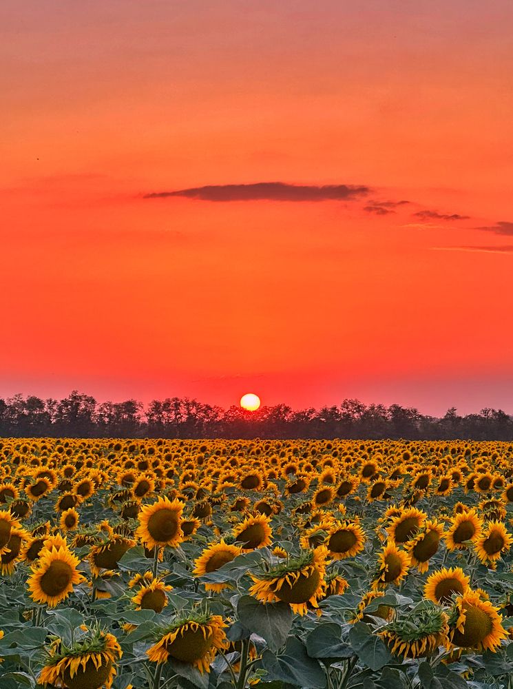 Photograph by Алексей Поляков