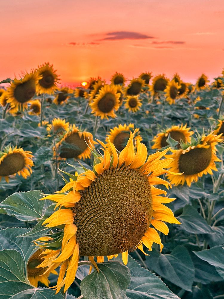 Photograph by Алексей Поляков