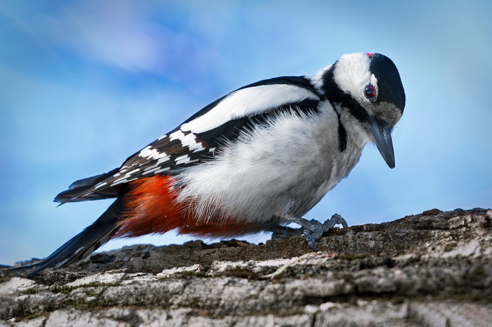 Photograph by Александр Перегудов