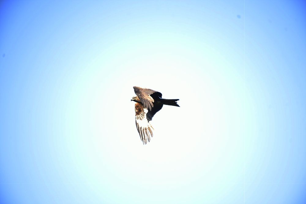 Photograph by Наталья Сорокина