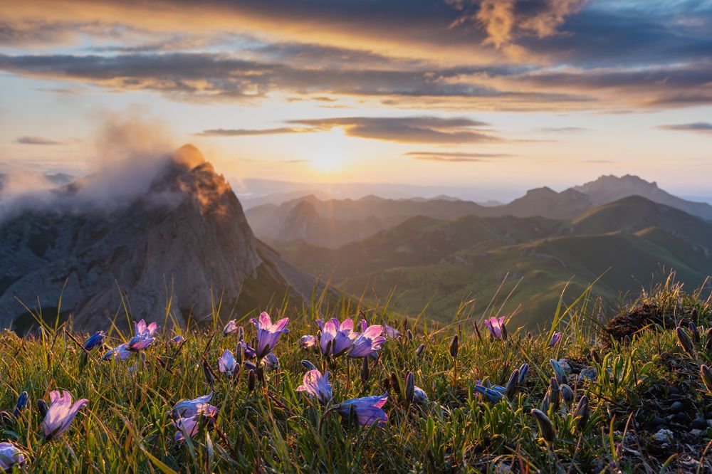 Photograph by Шишкалов Константин