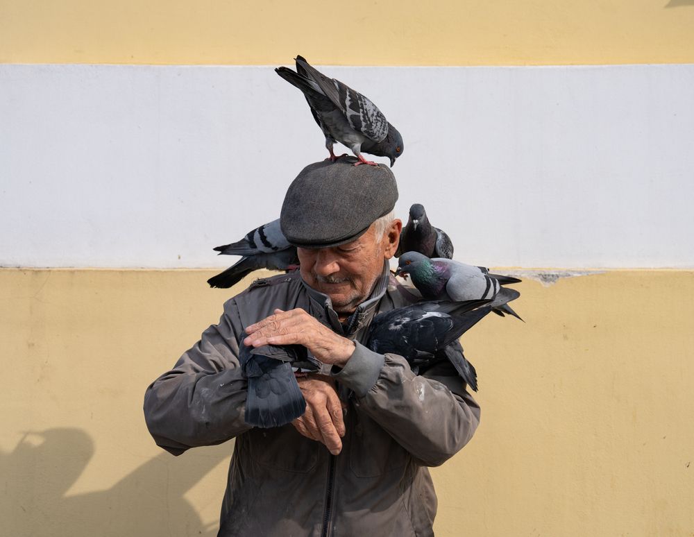 Старик с голубями