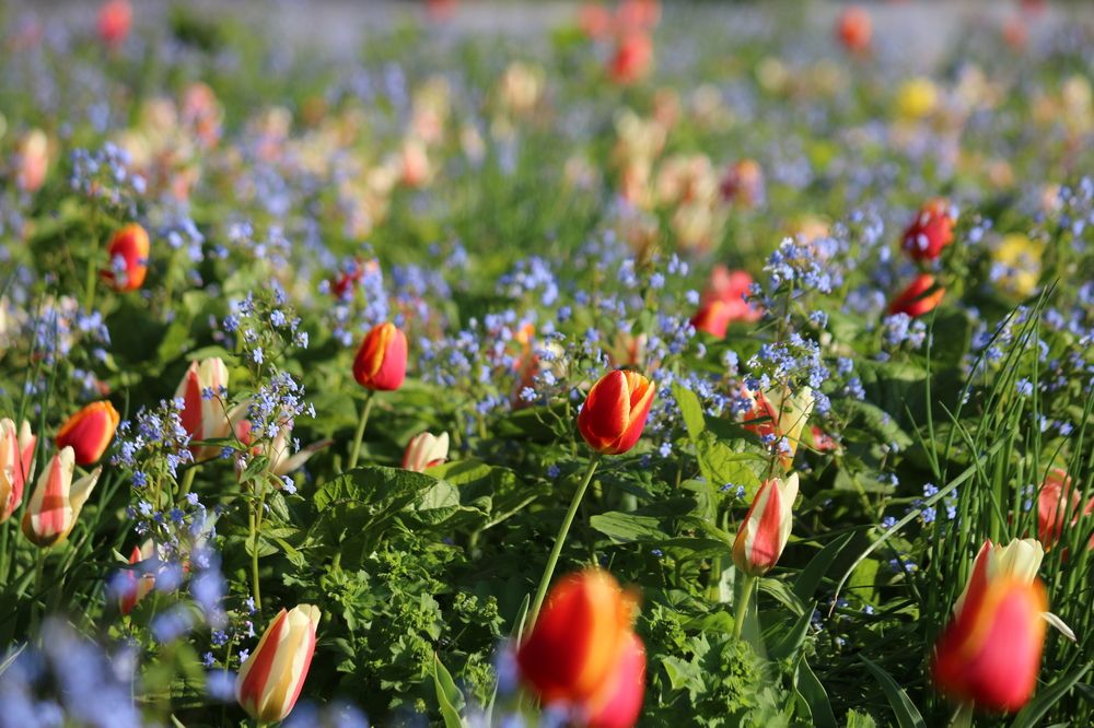 Photograph by Анастасия Свиридова