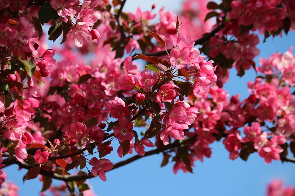 Photograph by Анастасия Свиридова