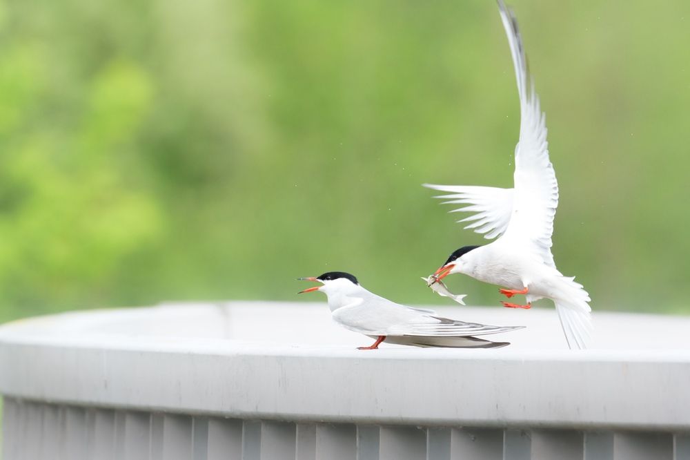 Фотография автора Егор Иванов