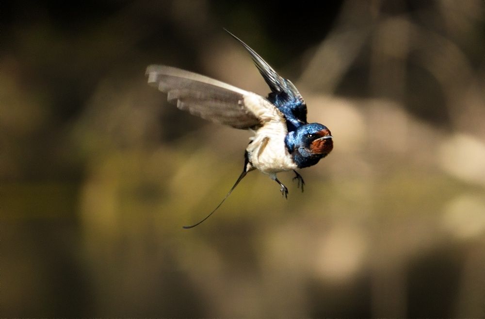 Фотография автора Егор Иванов