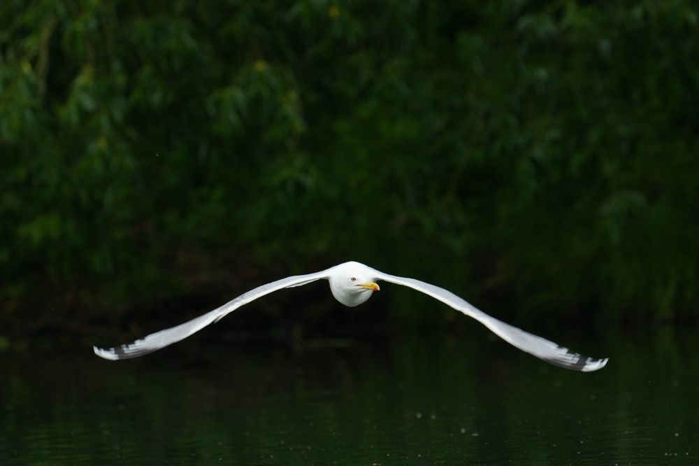 Маршрут построен