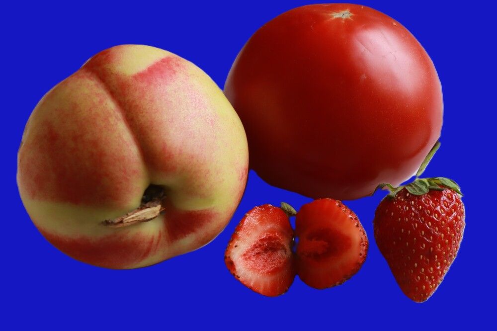 Photograph by Игорь Куленко