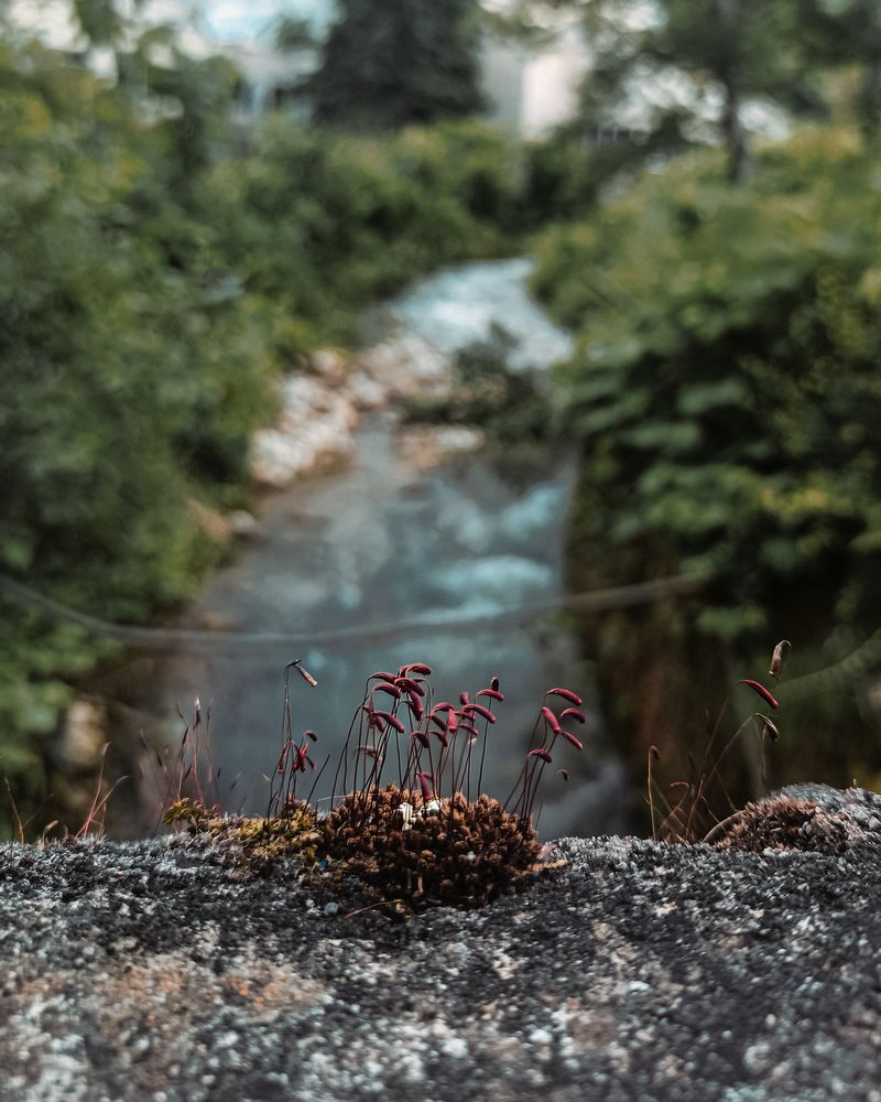 Photograph by Михаил Андронов