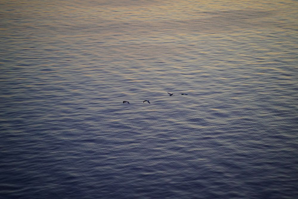 Photograph by Артемий Андреев