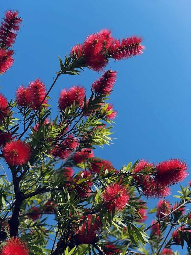 Photograph by Татьяна Баранова