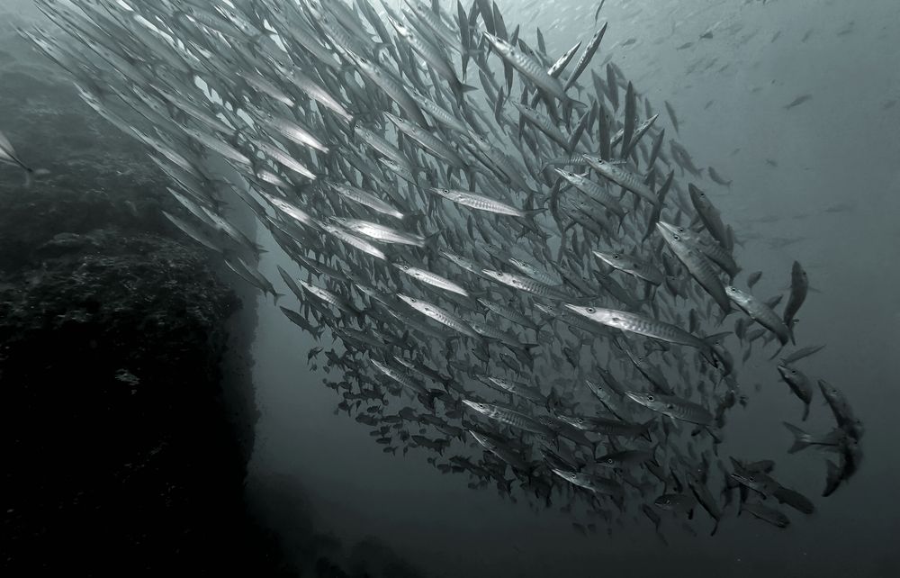 Photograph by Игорь Чернышов