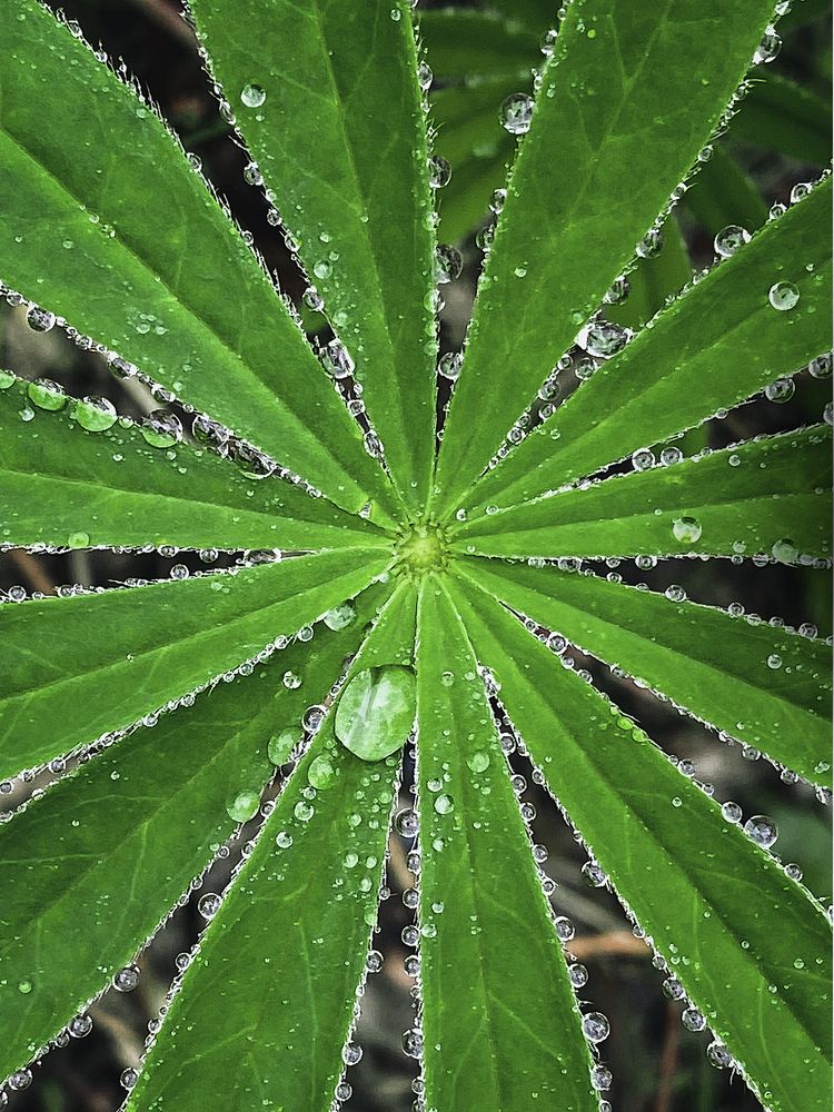 Photograph by Anna Sindikayeva